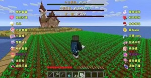 我的世界填方块/小麦/生存玩法🔥 支持抖音/快手/TikTok